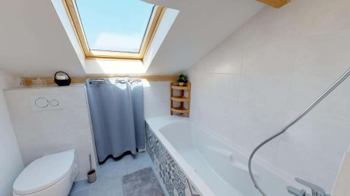 Room in Rue Jules Cambon, Lyon for 120 m² with 5 bedrooms