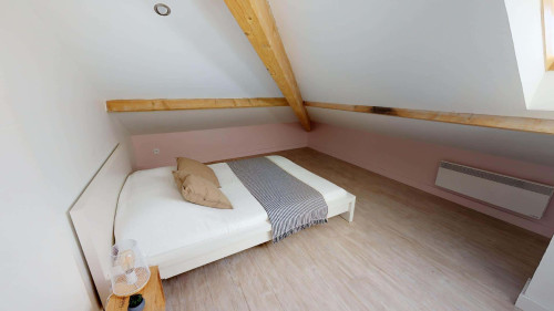 Room in Rue Jules Cambon, Lyon for 120 m² with 5 bedrooms - Gallery - 14
