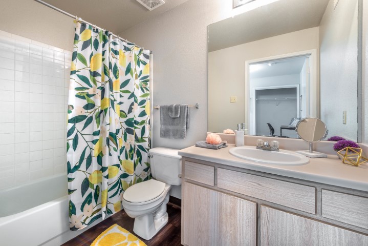 2 Bedroom - 2 Bath - University Meadows, UMSL Housing - Gallery - 3
