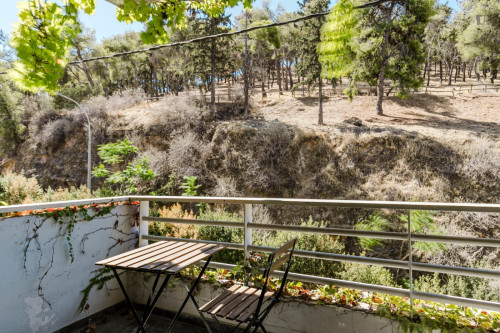 Inviting 1-bedroom flat near the University of Athens Medical School