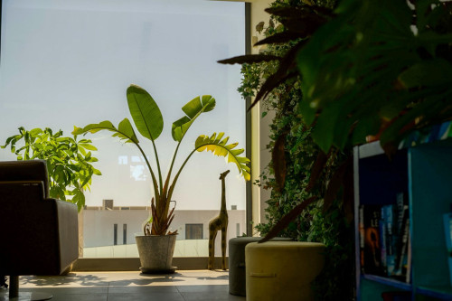 Arrifamar Residence - Gallery - 18