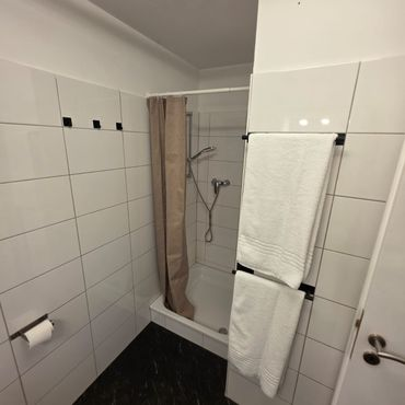 Entire Apartment - 4