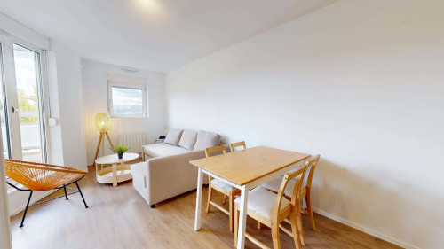 Room in Avenue du 25ème Régiment de Tirailleurs Sénégalais, Lyon for 80 m² with 4 bedrooms - Gallery - 11