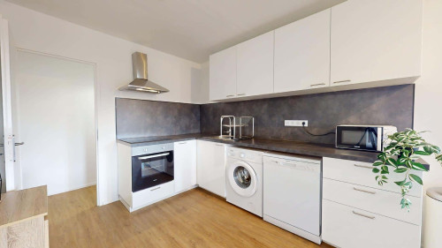 Room in Avenue du 25ème Régiment de Tirailleurs Sénégalais, Lyon for 80 m² with 4 bedrooms - Gallery - 15