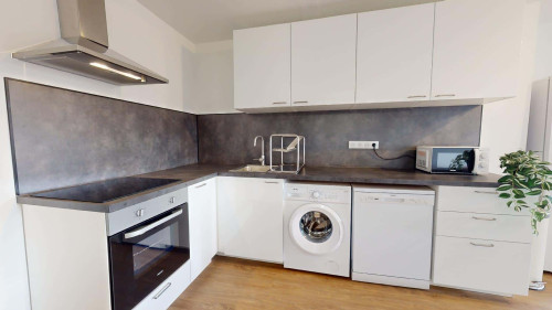 Room in Avenue du 25ème Régiment de Tirailleurs Sénégalais, Lyon for 80 m² with 4 bedrooms - Gallery - 14