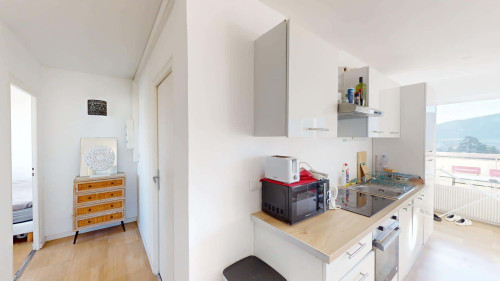 Room in Rue de la Zone, Ambilly for 64 m² with 3 bedrooms - Gallery - 11