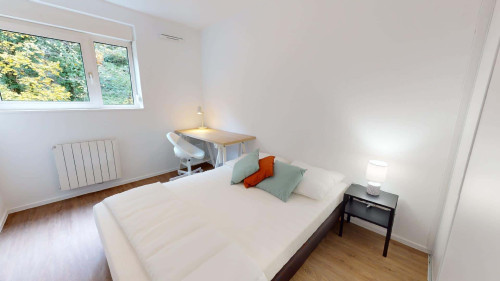 Room in Avenue du 25ème Régiment de Tirailleurs Sénégalais, Lyon for 80 m² with 4 bedrooms
