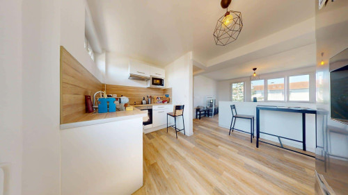 Room in Avenue Général Frère, Lyon for 70 m² with 3 bedrooms - Gallery - 8