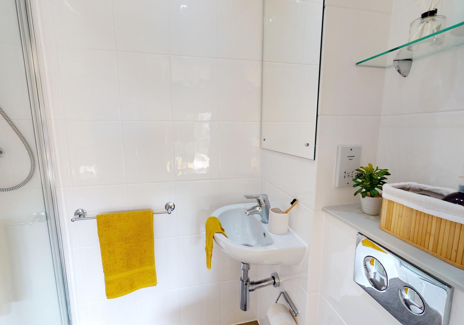  Gold Studio Plus  -  iQ Sawmills  - Gallery -  3