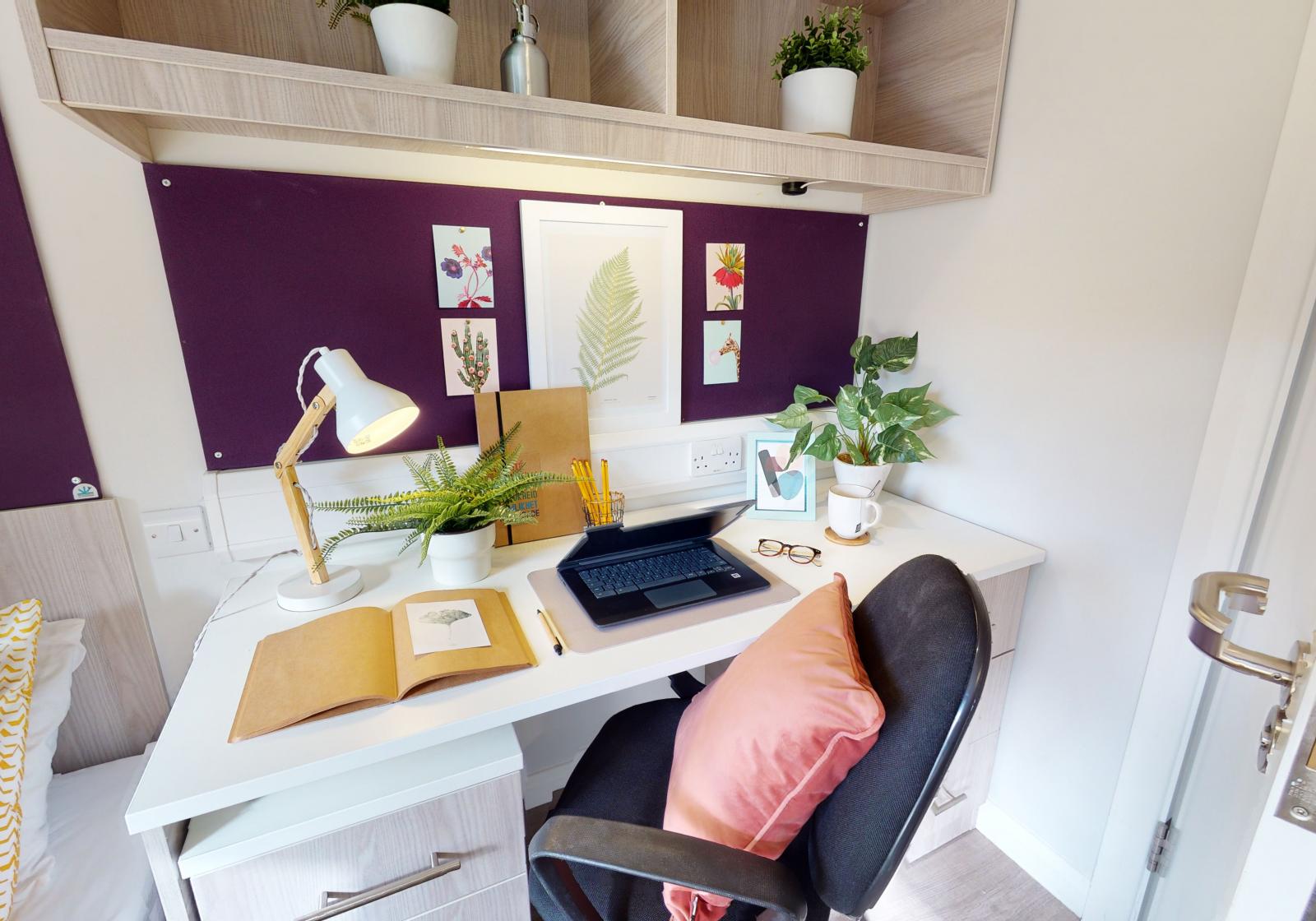  Gold Studio Plus  -  iQ Sawmills  - Gallery -  5