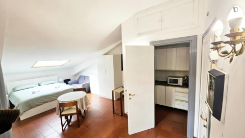 Bright Penthouse Studio with Private Terrace Bills Included - Gallery - 18