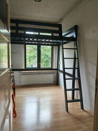 Burggravenlaan, Leiden