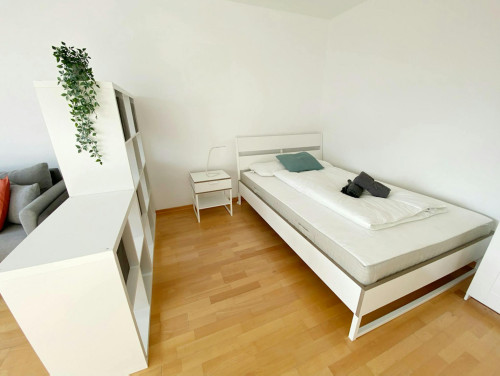 Durchlaufstraße, Vienna - Gallery - 5