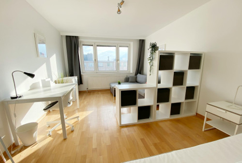 Durchlaufstraße, Vienna - Gallery - 6