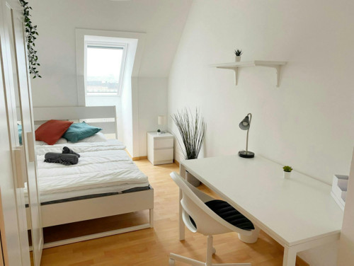 Sonnleithnergasse, Vienna - Gallery - 5