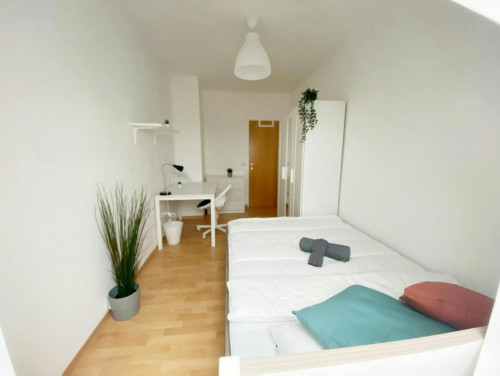 Sonnleithnergasse, Vienna - Gallery - 6