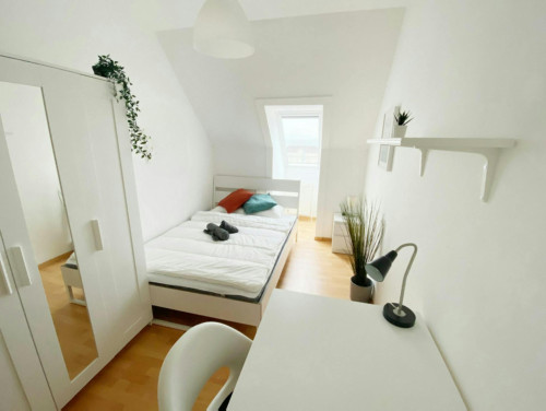 Sonnleithnergasse, Vienna