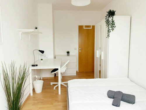 Sonnleithnergasse, Vienna - Gallery - 7