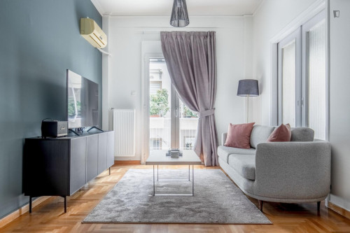 Comfy 2-bedroom flat near the Evangelismos subway station - Gallery - 15