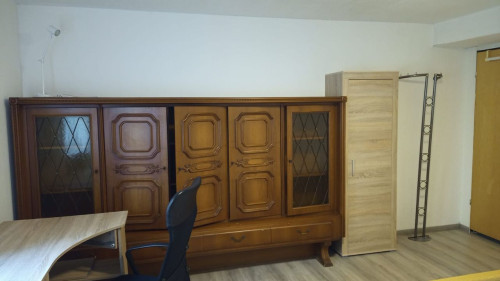 Lovely, spacious apartment in Fulda - Gallery - 6