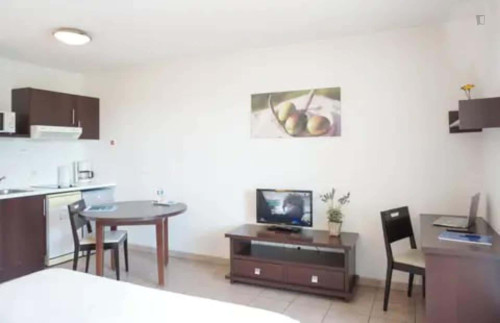 Apartment in Rue de Carqueiranne, Six-Fours-les-Plages for 29 m² - Gallery - 7
