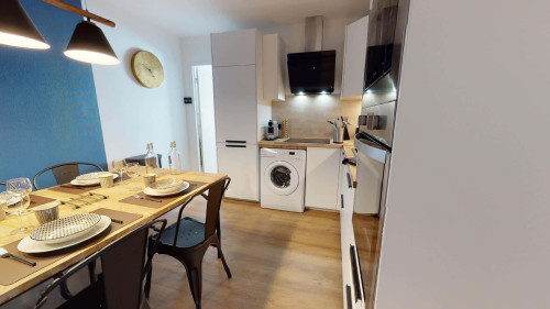 Room in Rue Philippe Fabia, Lyon for 75 m² with 4 bedrooms