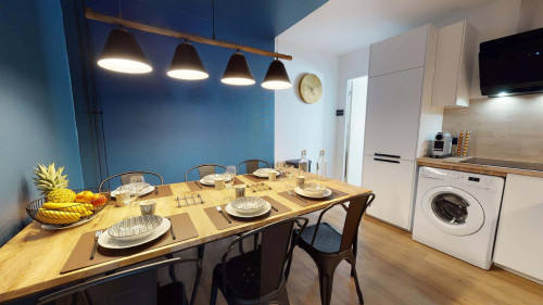 Room in Rue Philippe Fabia, Lyon for 75 m² with 4 bedrooms - Gallery - 6