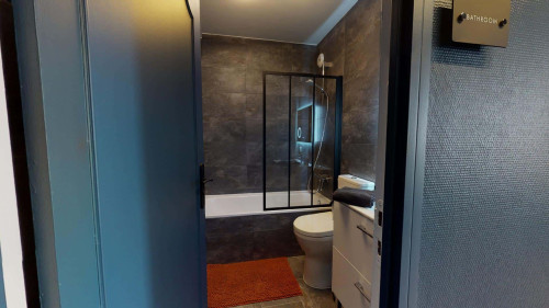 Room in Rue Philippe Fabia, Lyon for 75 m² with 4 bedrooms - Gallery - 10