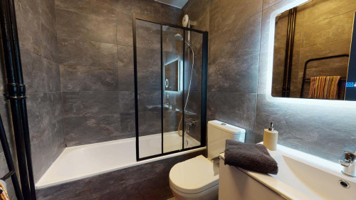 Room in Rue Philippe Fabia, Lyon for 75 m² with 4 bedrooms - Gallery - 9