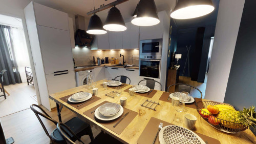 Room in Rue Philippe Fabia, Lyon for 75 m² with 4 bedrooms - Gallery - 5
