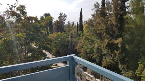 Katsantoni, Athens - Gallery - 5