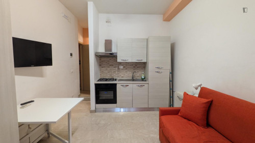 Studio, with outdoor area in city center