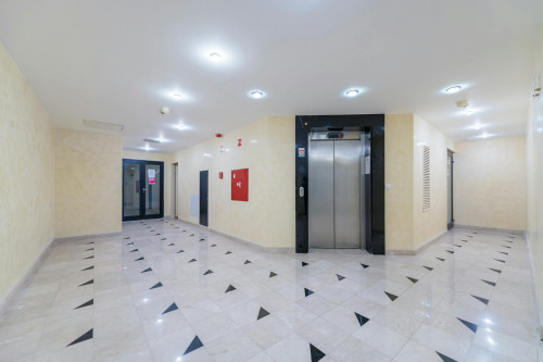 Király utca, Budapest