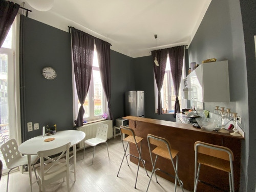 Rue Jacques de Lalaing, Brussels - Gallery - 6