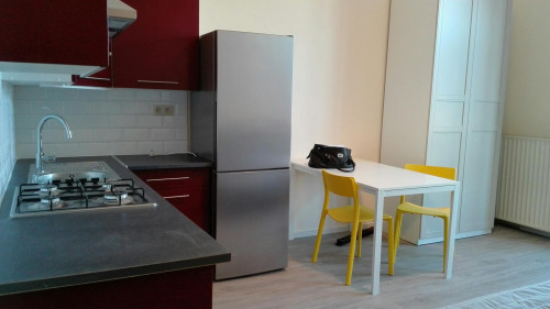 Avenue Paul Janson, Anderlecht - Gallery - 6