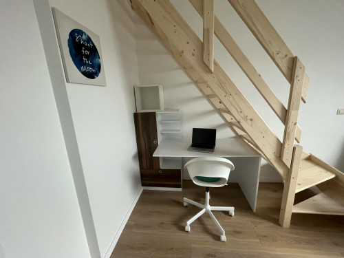 Chaussée de Haecht, Evere - Gallery - 9