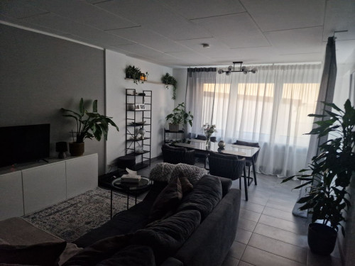 Cozy and modern studio with perfect connections