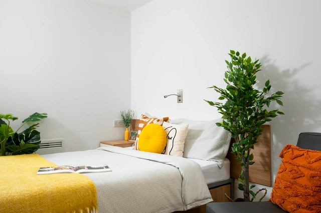  Large Standard Double Studio  -  Charlton Court  - Gallery -  1