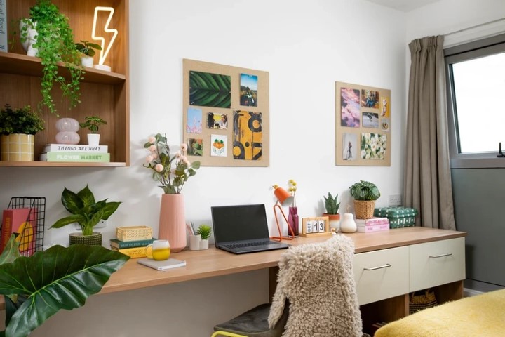  Large High Double Studio  -  Charlton Court  - Gallery -  4