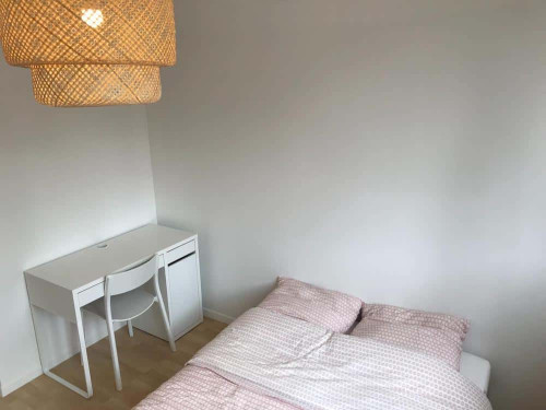 RUE DES ECOLES - Gallery - 2