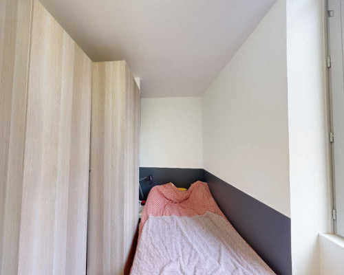 Very neat double bedroom in La Part-Dieu