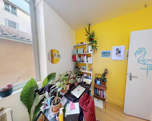 Very neat double bedroom in La Part-Dieu