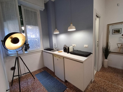 Welcoming Studio in Milan 