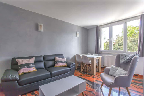 Room in Rue Alphonse Allais, Saint-Martin-d'Hères for 64 m² with 4 bedrooms