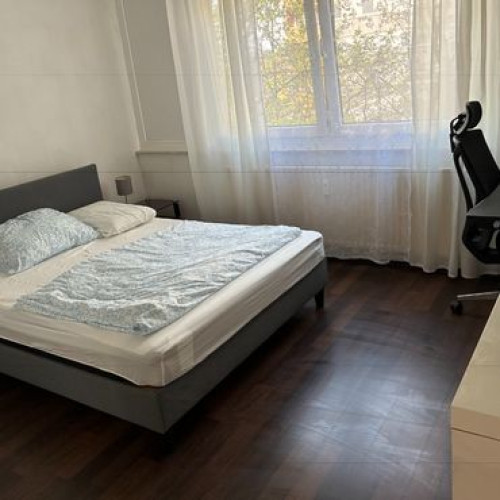 Bright home (Ludwigshafen am Rhein) - Gallery - 5