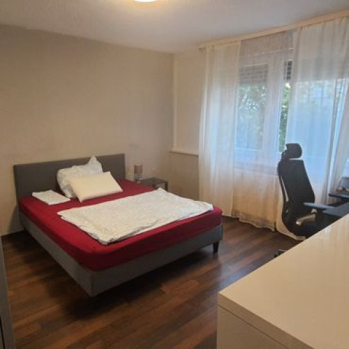 Bright home (Ludwigshafen am Rhein) - Gallery - 7