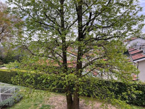Via Gianni Rodari, Varese - Gallery - 10