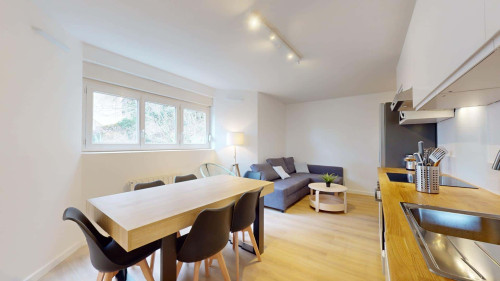 Room in Avenue du 25ème Régiment de Tirailleurs Sénégalais, Lyon for 77 m² with 5 bedrooms - Gallery - 13