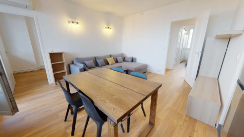 Room in Rue Professeur Joseph Nicolas, Lyon for 80 m² with 4 bedrooms - Gallery - 13