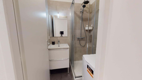 Room in Rue Professeur Joseph Nicolas, Lyon for 80 m² with 4 bedrooms - Gallery - 11